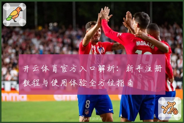 开云体育官方入口解析：新手注册教程与使用体验全方位指南
